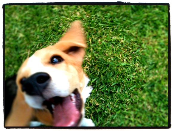 IMG_0719 Mackey sonriente