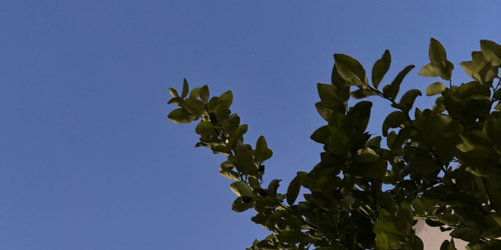 Hacer Fuerza Sin Romperse